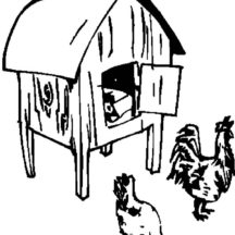 Finding Food in Front of Chicken Coop Coloring Pages