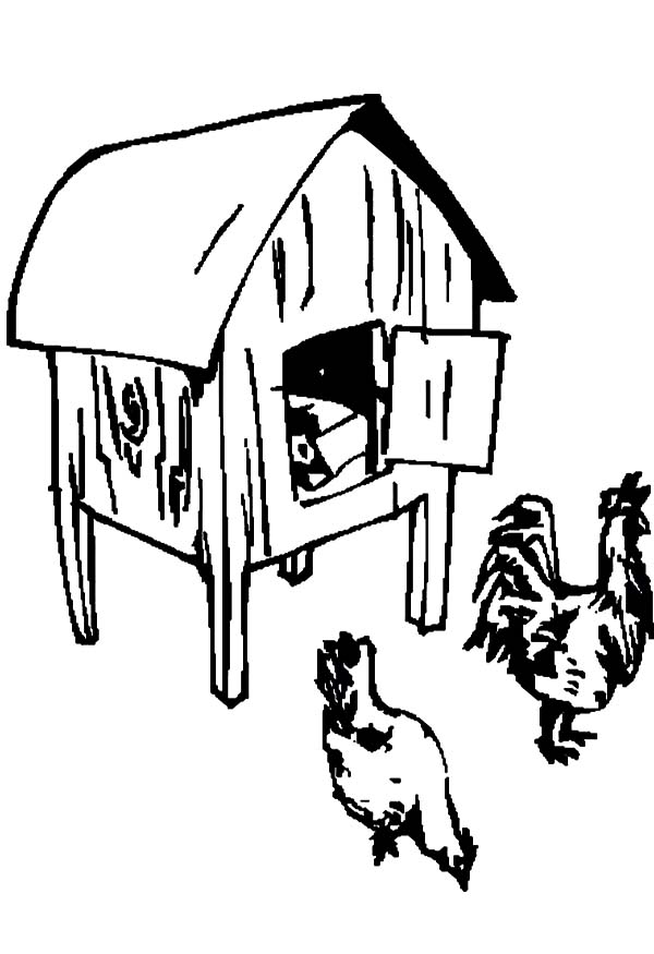 Finding Food in Front of Chicken Coop Coloring Pages