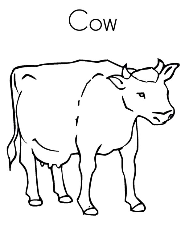 Healthy Dairy Cow Coloring Pages