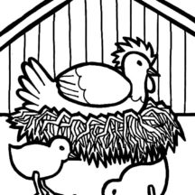 Hen Hatching Egg in Chicken Coop Coloring Pages