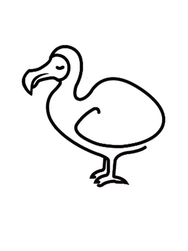 How to Draw Dodo Bird Coloring Pages