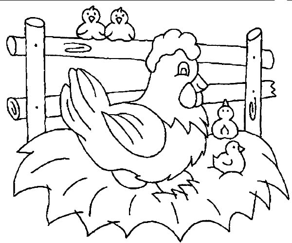 Little Chicken Wait for Their Mother Hatching Egg Coloring Pages