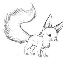 Long Tailed Desert Fox Coloring Pages