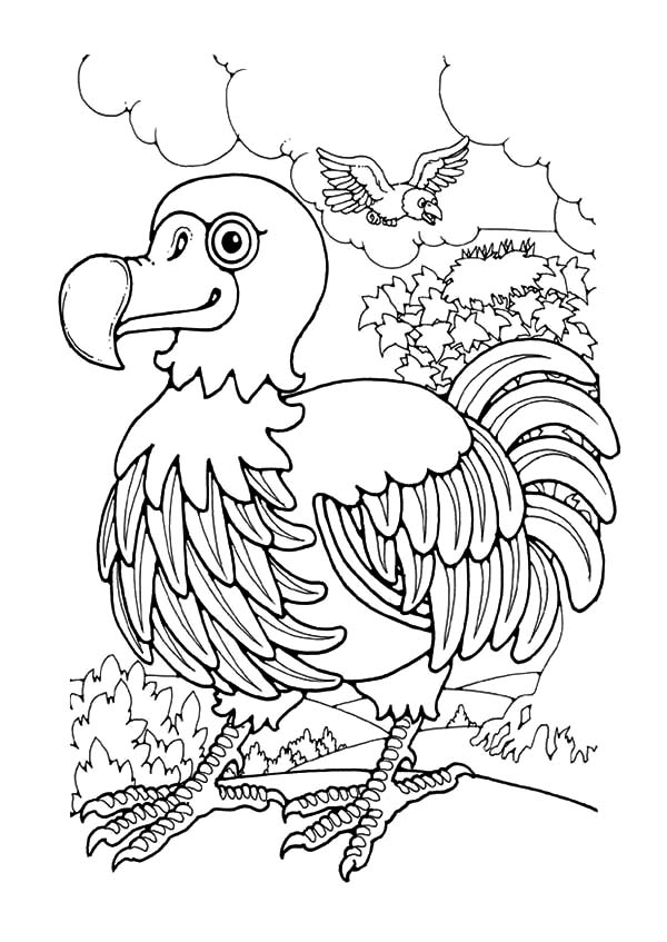 Mauritius Endemic Dodo Bird Coloring Pages
