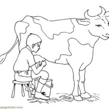 Milking Dairy Cow Coloring Pages