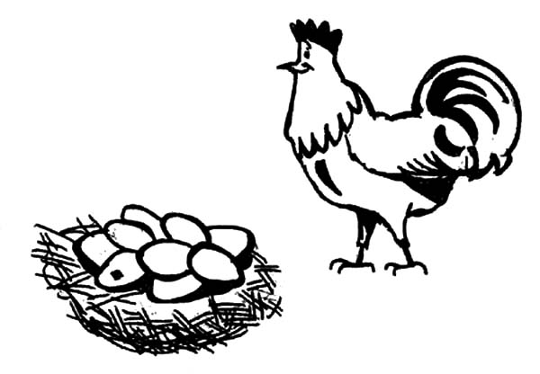 Rooster Guarding Chicken Egg Coloring Pages