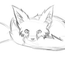 Shy Baby Desert Fox Coloring Pages