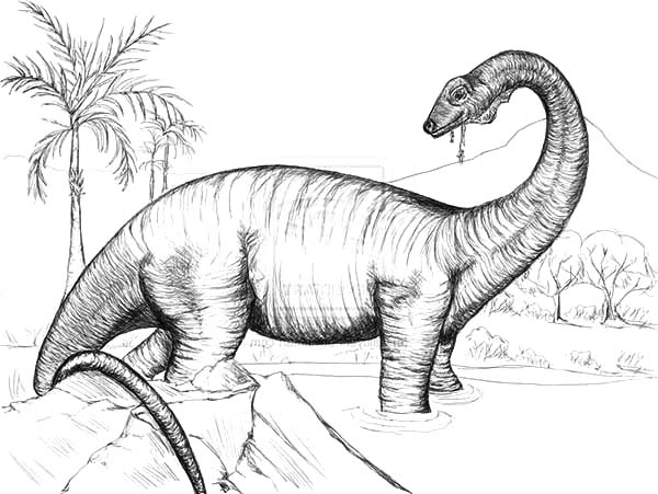Sketch of Diplodocus Coloring Pages