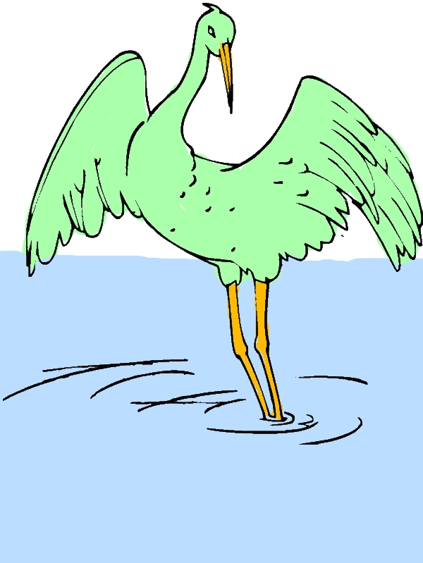 Amazing Animal Crane Bird Coloring Pages by years old Ruth F  Porter  