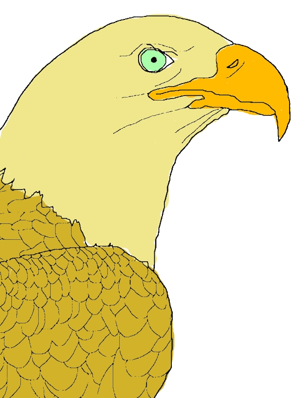 Bald Eagle Picture Coloring Page by years old Tamela L  Watson  
