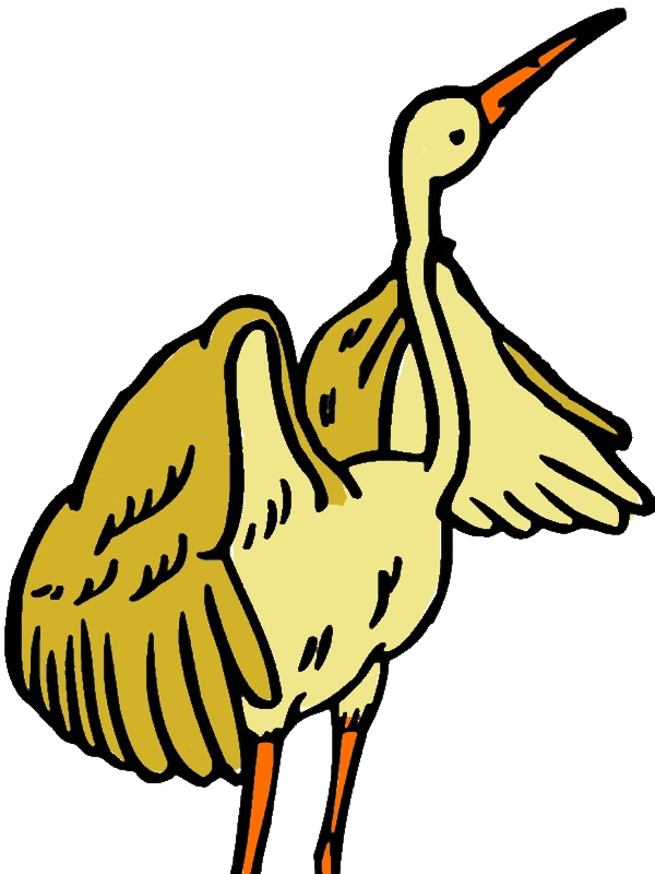 Crane Bird Coloring Pages for Kids by years old Peter D  Myers  