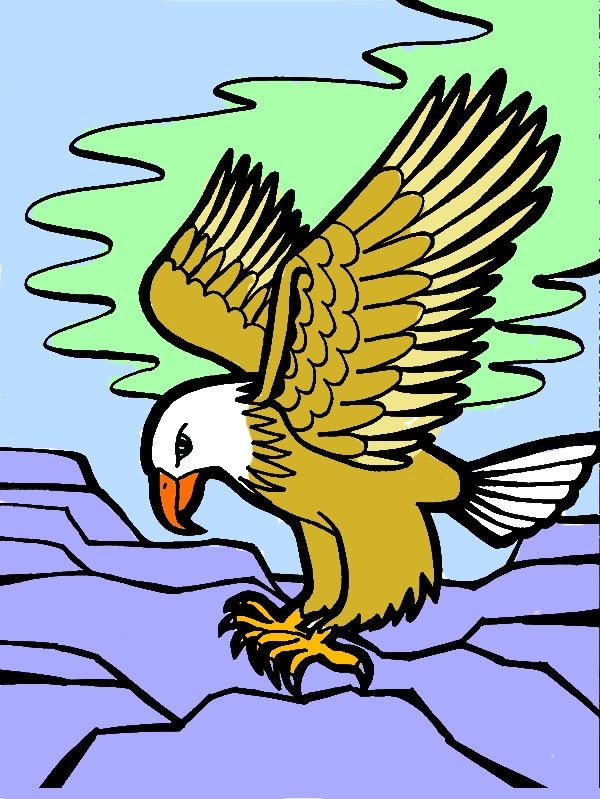 Falcon Bird Coloring Pages by years old Jerry E  Tracy  