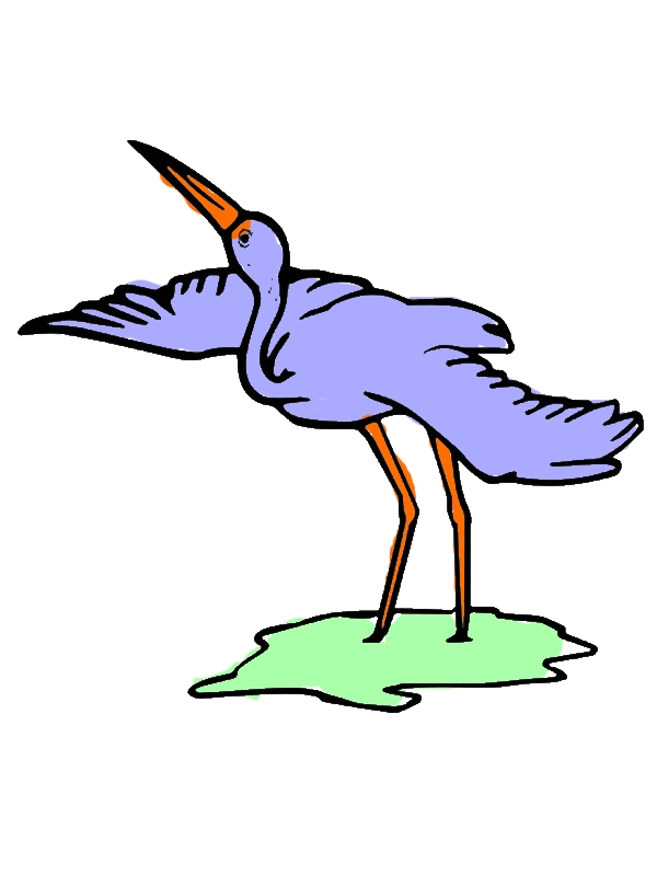 Whooping Crane Bird Coloring Pages by years old Jason M  Borchers  